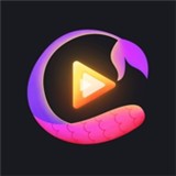 看B站的夜月直播APP免费版