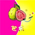 青青草app软件下载安装