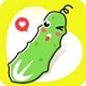 逃税小萝卜Turnip Boy Commits Tax Evasion_logo