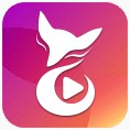 免费行情软件APP网站国外手机版